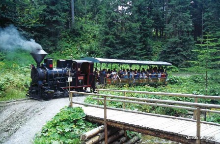 Cierny Balog forest train