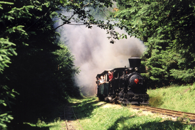 Cierny Balog forest train